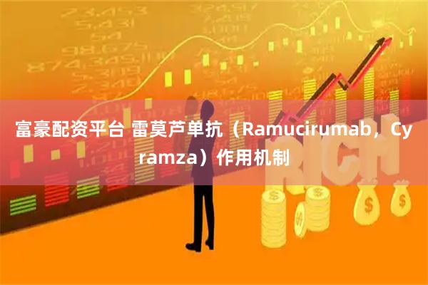 富豪配资平台 雷莫芦单抗（Ramucirumab，Cyramza）作用机制